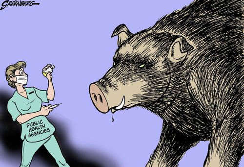 Swine flu.