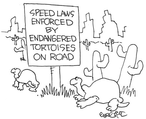 Speed laws enforced by endangered tortoises on the road.