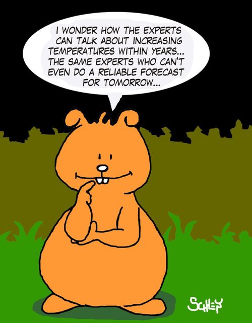 "I wonder how the experts can talk about increasing temperatures within years... the same experts who can't even do a reliable forecast for tomorrow..."