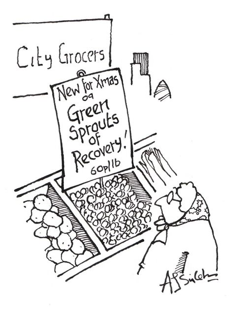 City Grocers: New for Xmas or Green Sprouts of Recovery!