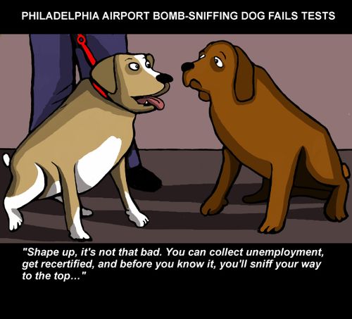 Bomb-sniffing dog fails tests