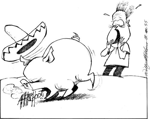 A Mexican swine with flu.