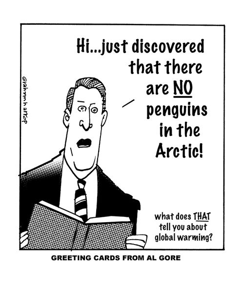 Al Gore greeting cards - there are NO penguins in the Arctic, what does that tell you about global warming?