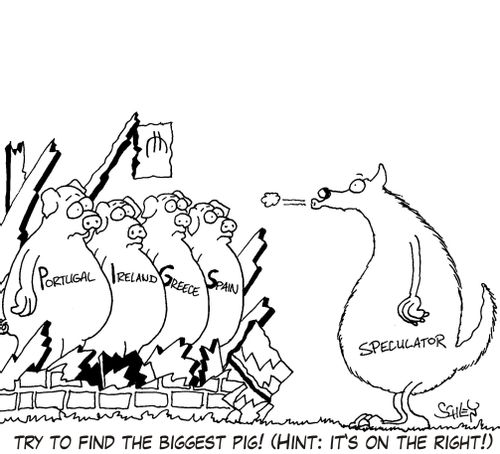 Try to find the biggest pig!