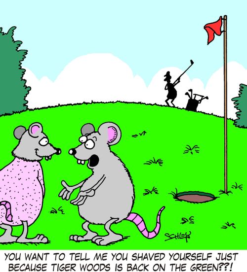 'You want to tell me you shaved yourself just because Tiger Woods is back on the green??!'