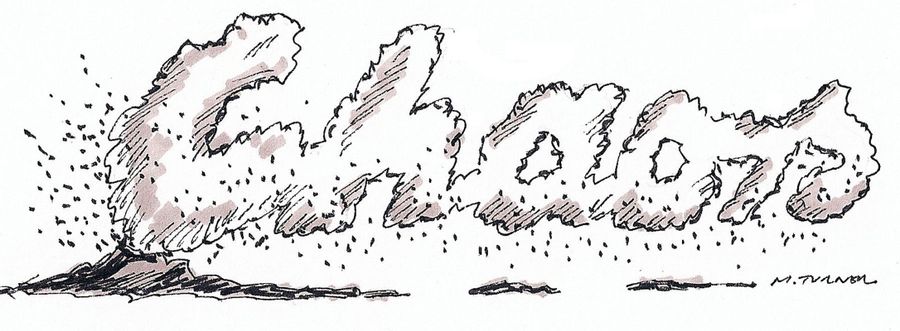 Chaos