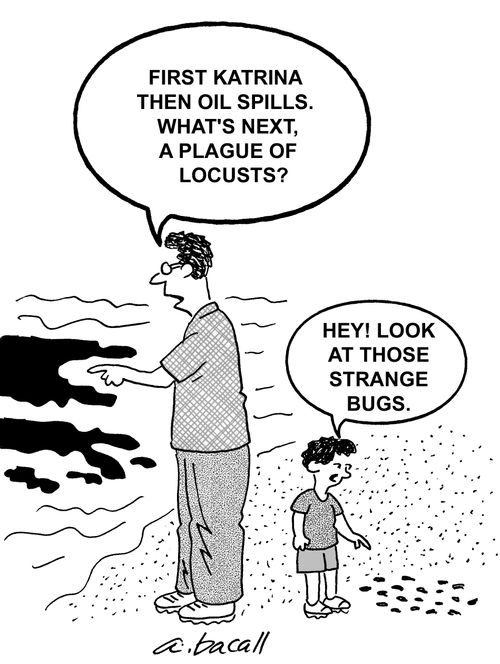 First Katrina, then oil spills. What's next, a plague of locusts?