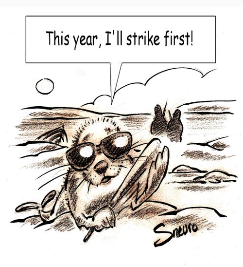 Seal Hunt: This year, I'll strike first!