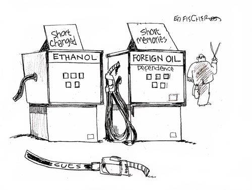 Oil Cuts.