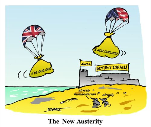 The New Austerity