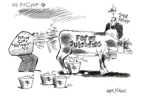 Fat Cat City Farmers...