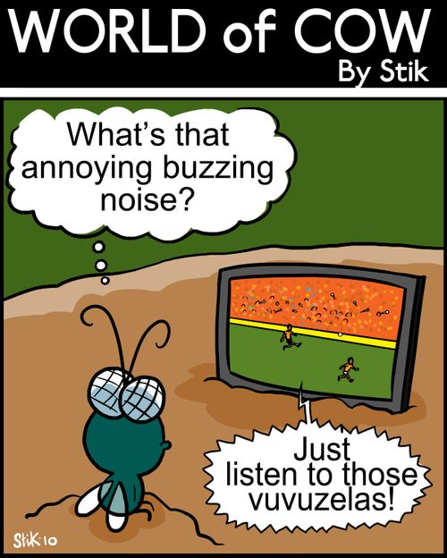 What's that annoying buzzing noise? (Vuvuzelas)