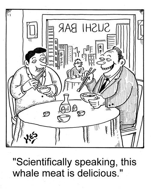 'Scientifically speaking, this whale meat is delicious.'