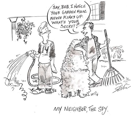 My Neighbor, The Spy.