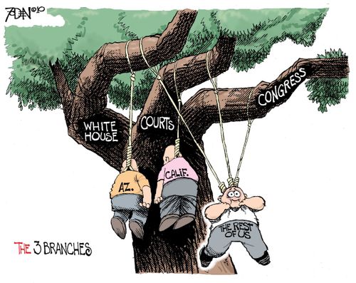 The Rest of US - White House, Courts, Congress.