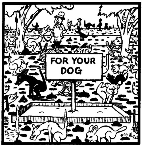 For Your Dog