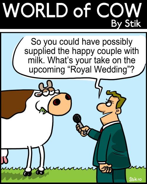 So you could have possibly supplied the happy couple with milk. What's your take on the upcoming 'Royal Wedding'?