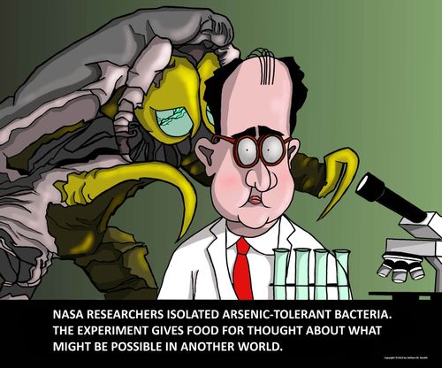 The Arsenic-tolerant bacteria