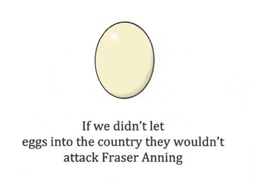 "If we didn't let eggs into the country they wouldn't attack Fraser Anning."