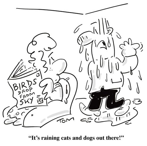 'It's raining cats and dogs out there!'