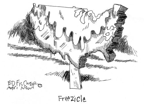 Freezicle