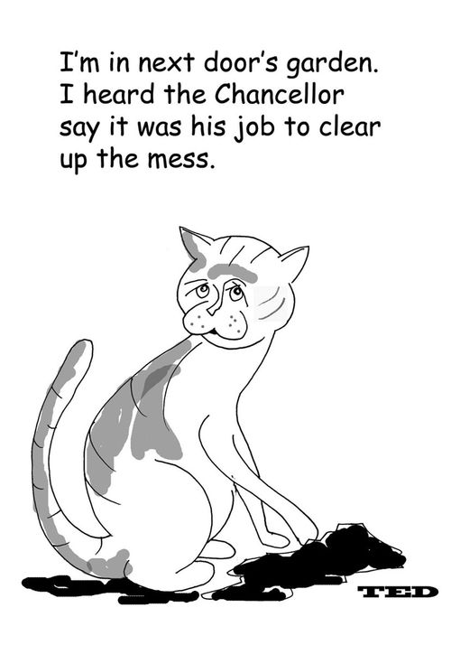 Larry, Downing Street cat: 'I'm in next door's garden. I heard the chancellor say it was his job to clear up the mess.'