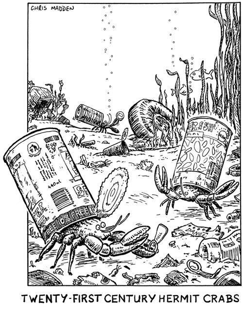 Modern hermit crabs using discarded cans instead of shells, illustration the rise in waste and the decline in wildlife (including shells)