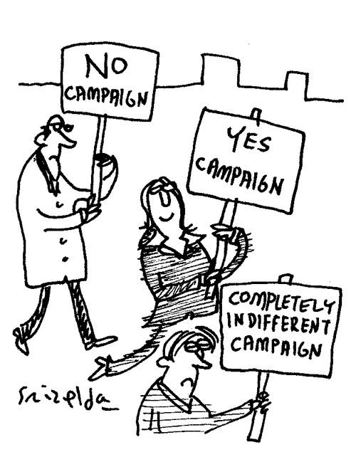 No Campaign - Yes Campaign - Completely Indifferent Campaign.