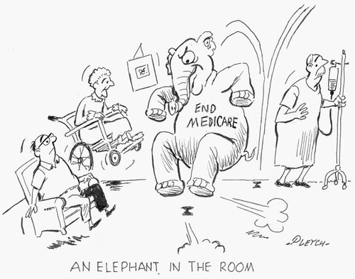 An elephant in the room