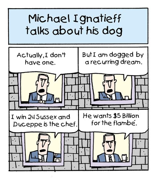 Michael Ignatieff's dog