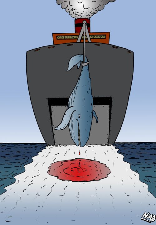 A whaling ship has a fresh kill and the blood spills into the ship's wake forming the Japanese flag