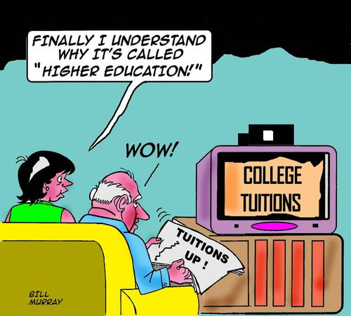 'Higher Education'