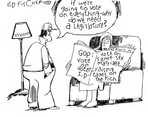 'If we are going to vote on everything, why do we need a legislator?'
