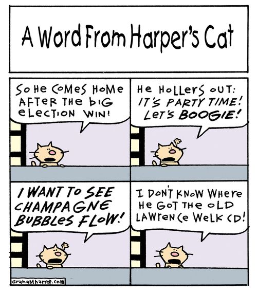 A word from Stephen Harper's cat