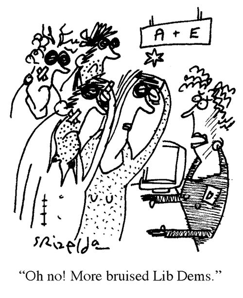 'Oh no! More bruised Lib Dems.'