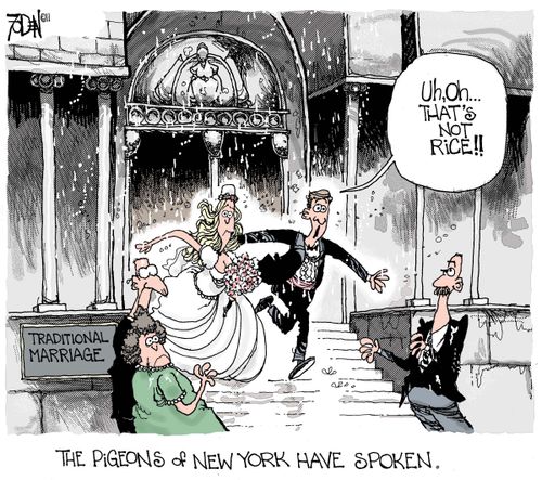 Pigeons poo on newly-weds.