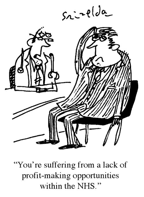 'You're suffering from a lack of profit-making opportunities within the NHS.'