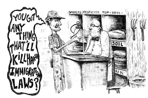 'You got anything that'll kill harsh immigration laws?'