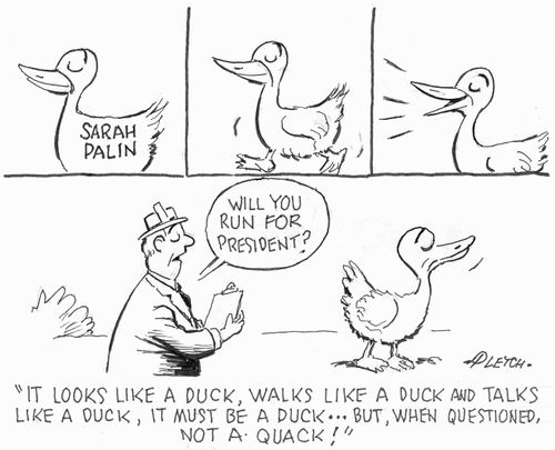'It looks like a duck, walks like a duck and talks like a duck, it must be a duck...but, when questioned, not a quack!'