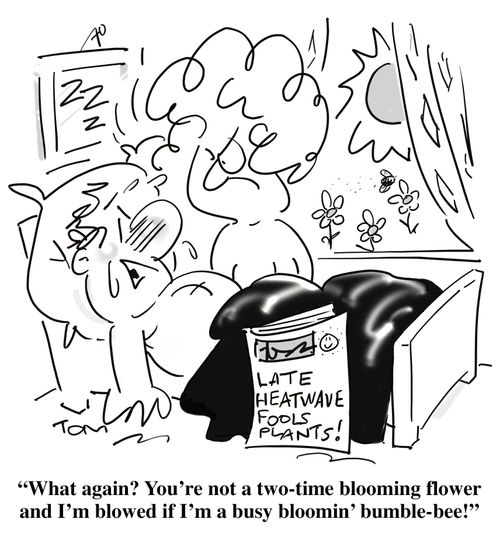 "What again? You're not a two-time blooming flower and I'm blowed if I'm a busy bloomin' bumble-bee!"