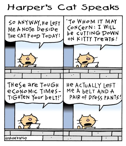 Harper's Cat Speaks: 'To whom it may concern: I will be cutting down on kitty treats.'