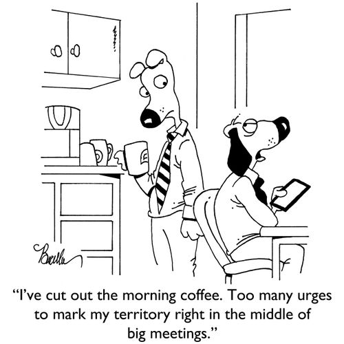 "I've cut out the mornng coffee. To many urges to mark my territory right in the middle of big meetings."