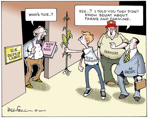 New agricultural labour rules threaten teen jobs.