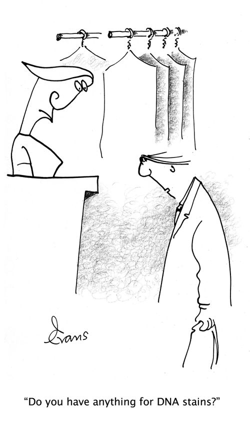 "Do you have anything for DNA stains?"