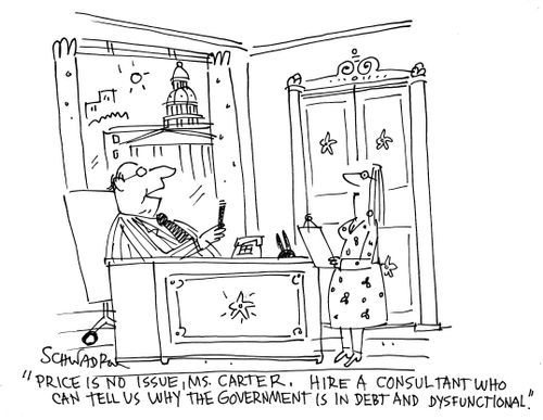 'Price is no issue, Ms. Carter. Hire a consultant who can tell us why the government is in debt and dysfunctional.'