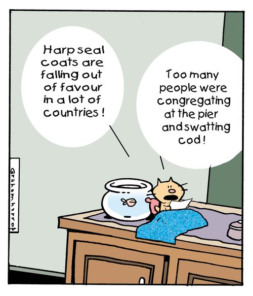 Seal hunting.