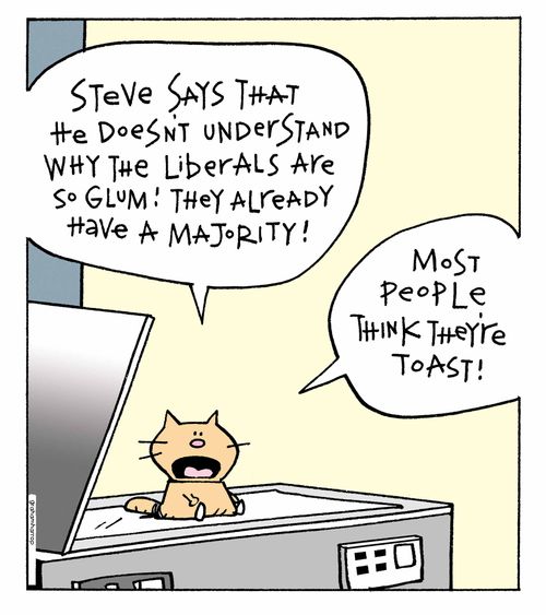 'Steve says that he doesn't understand why the liberals are so glum! They already have a majority.'