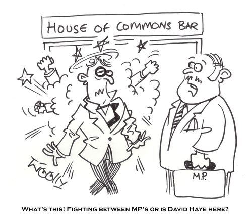 'What's this! Fighting between MP's or is David Haye here?'