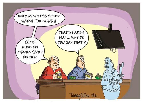 'Only mindless sheep watch Fox News!'