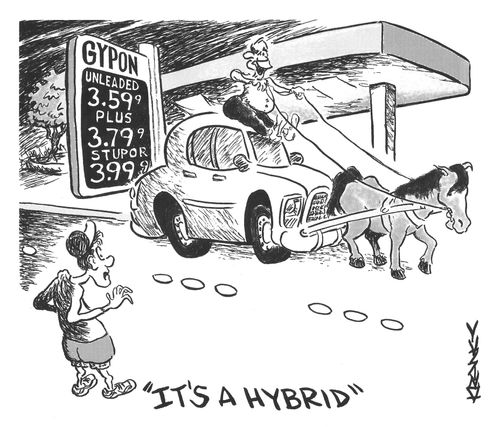 'It's a hybrid.'